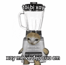a cat is standing in a blender with a caption in a foreign language .