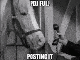 a man is talking on a telephone with a horse in the background and the caption pdj full posting it .