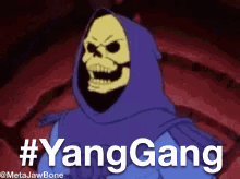 Yang Gang Skeletor GIF - Yang Gang Skeletor Yes GIFs