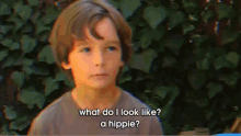 Stay Cool GIF - What Do I Look Like Hippie Kid GIFs