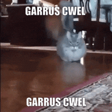 Cats Garfield GIF - Cats Garfield Cwaniak GIFs