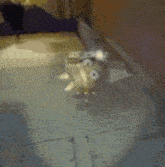 a blurred image of a person standing on a tiled floor