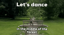koffdrop dance dancing forest bridge
