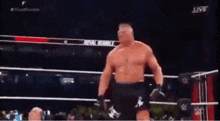 Brock Lesnar Wwe GIF - Brock Lesnar Wwe Dancing GIFs