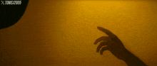 a shadow of a person 's hand is against a yellow background with xtoms written on the bottom right