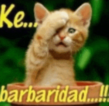a cat is covering its face with its paw while sitting in a pot with the word barbaridad written on it .