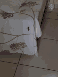 a lizard is silhouetted against a bed with purple flowers on it