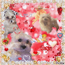 a picture of a dalmatian dog surrounded by cupids and hearts with the words angel written on the bottom