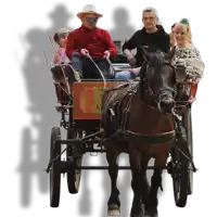 a group of people are riding in a horse drawn carriage with the letter a on the side