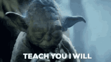 Teach Yoda GIF - Teach Yoda Star Wars GIFs