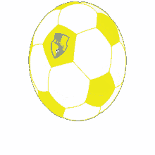 skzitavany futbal