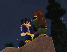 a couple of minecraft characters standing on top of a building