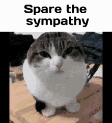 Spare The Sypathy Everybody Wants To Be GIF - Spare The Sypathy Everybody Wants To Be My Enemy GIFs