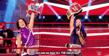 Wwe And Now We Have All The Gold GIF - Wwe And Now We Have All The Gold Champions GIFs