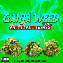 Weed Donya GIF - Weed Donya GIFs