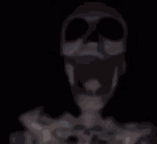 Skeleton Skeleton Celing Fan GIF - Skeleton Skeleton Celing Fan Fan GIFs