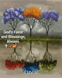 Well Wishes Blessings GIF