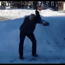 Rule827 Snow GIF - Rule827 Snow No Snow GIFs