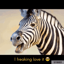 keanu zebra