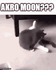Akro Bitcoin GIF - Akro Bitcoin Moon GIFs