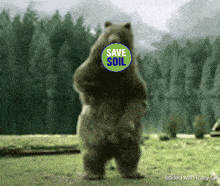 Dance Bear GIF - Dance Bear Funny GIFs