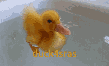 Duck4sras GIF - Duck4sras GIFs