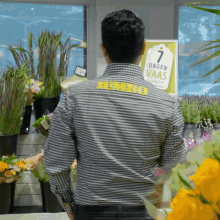 Jumbo Super Markten Flowers GIF