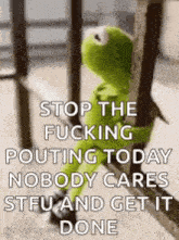 Kermit The Frog Waiting GIF
