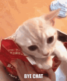 Cat Cat Chips GIF - Cat Cat Chips Bye Chat GIFs