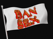 a white flag with the word ban sex written on it