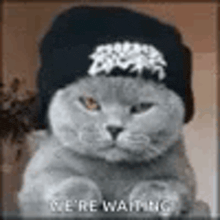 a gray cat wearing a black hat is sitting down .