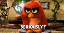 Angry Seriously GIF - Angry Seriously Angry Birds GIFs