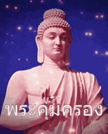 buddha xirtus
