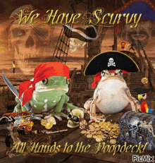 We Have Scurvy Pirate Frog GIF