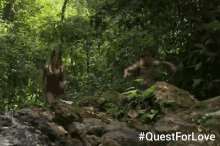 Quest For Love Romcom GIF