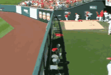 Cardinals On My Way Baseball GIF - Cardinals On My Way Baseball Bench Clearing GIFs
