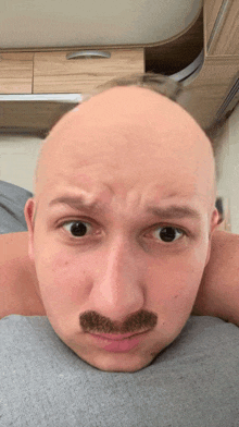 a man with a mustache and a bald head looks at the camera
