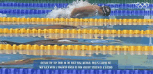 Swimming Michael Phelps GIF - Swimming Michael Phelps International Olympic Committee GIFs