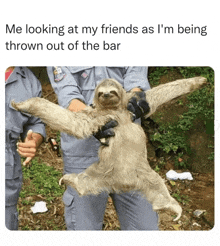 Sloth Meme