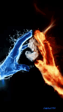 This Is Love Fire And Ice GIF