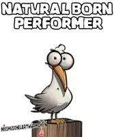 a cartoon bird is standing on a wooden post with the words natural born performer written above it