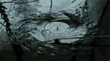 Gramophone Whirling GIF - Gramophone Whirling Water GIFs