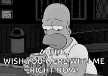 homer simpson is sitting at a bar holding a beer and saying " ahhh wish you were with me right now "