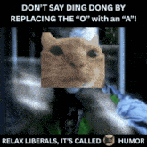a picture of a cat with the caption " don 't say ding dong by replacing the " o " with an " a "
