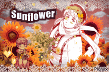 My Sunflower Hetalia Sunflower GIF - My Sunflower Sunflower Hetalia Sunflower GIFs
