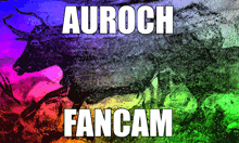a colorful background with the words auroch fancam