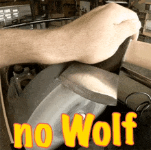 No Wolf Sc GIF - No Wolf Wolf Sc GIFs