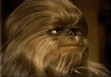 Big Yikes Star Wars GIF - Big Yikes Star Wars Chewbacca GIFs
