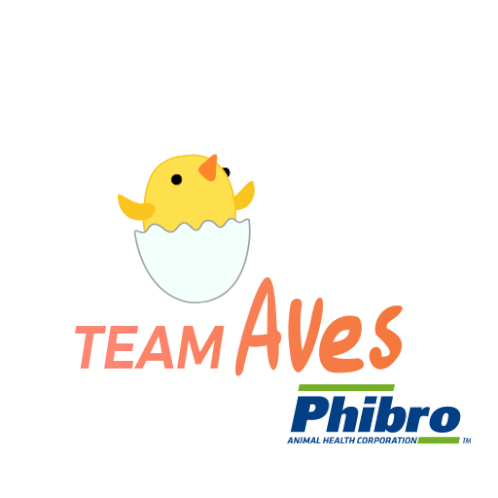 Phibro Chicks Sticker - Phibro Chicks Stickers