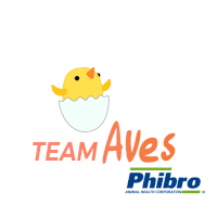 Phibro Chicks Sticker - Phibro Chicks Stickers
